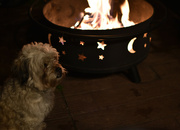 20th Jan 2024 - Teddy and the Firepit