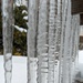 Coop Icicles