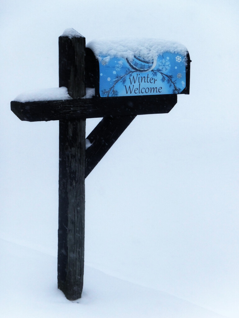 Winter Wish by linnypinny