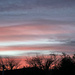 Lovely Evening Sky by 365projectmaxine