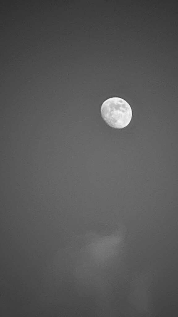 Moon by mattjcuk