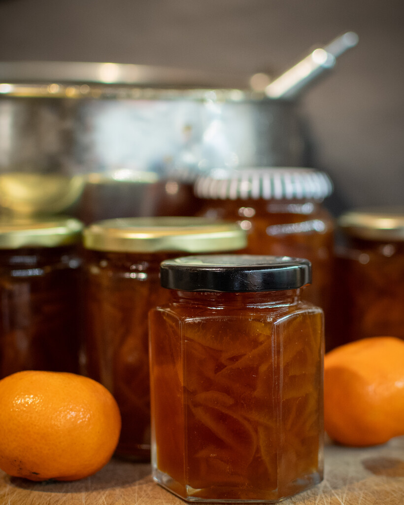 Marmalade Day by anncooke76
