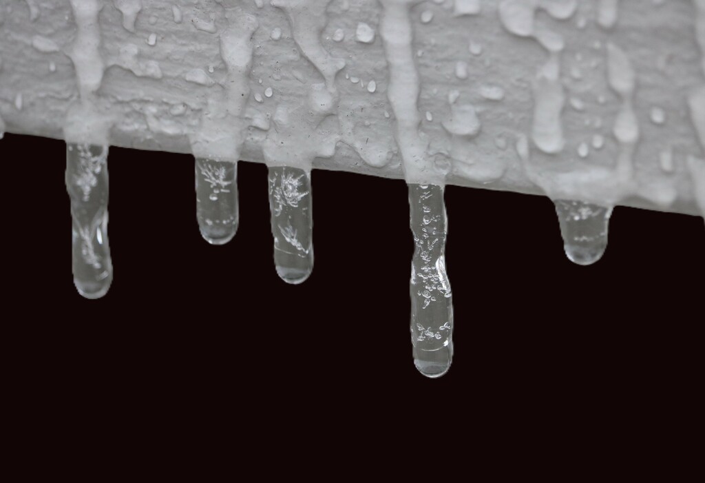January 22: Frozen drips by daisymiller
