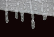 22nd Jan 2024 - January 22: Frozen drips