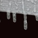 January 22: Frozen drips by daisymiller