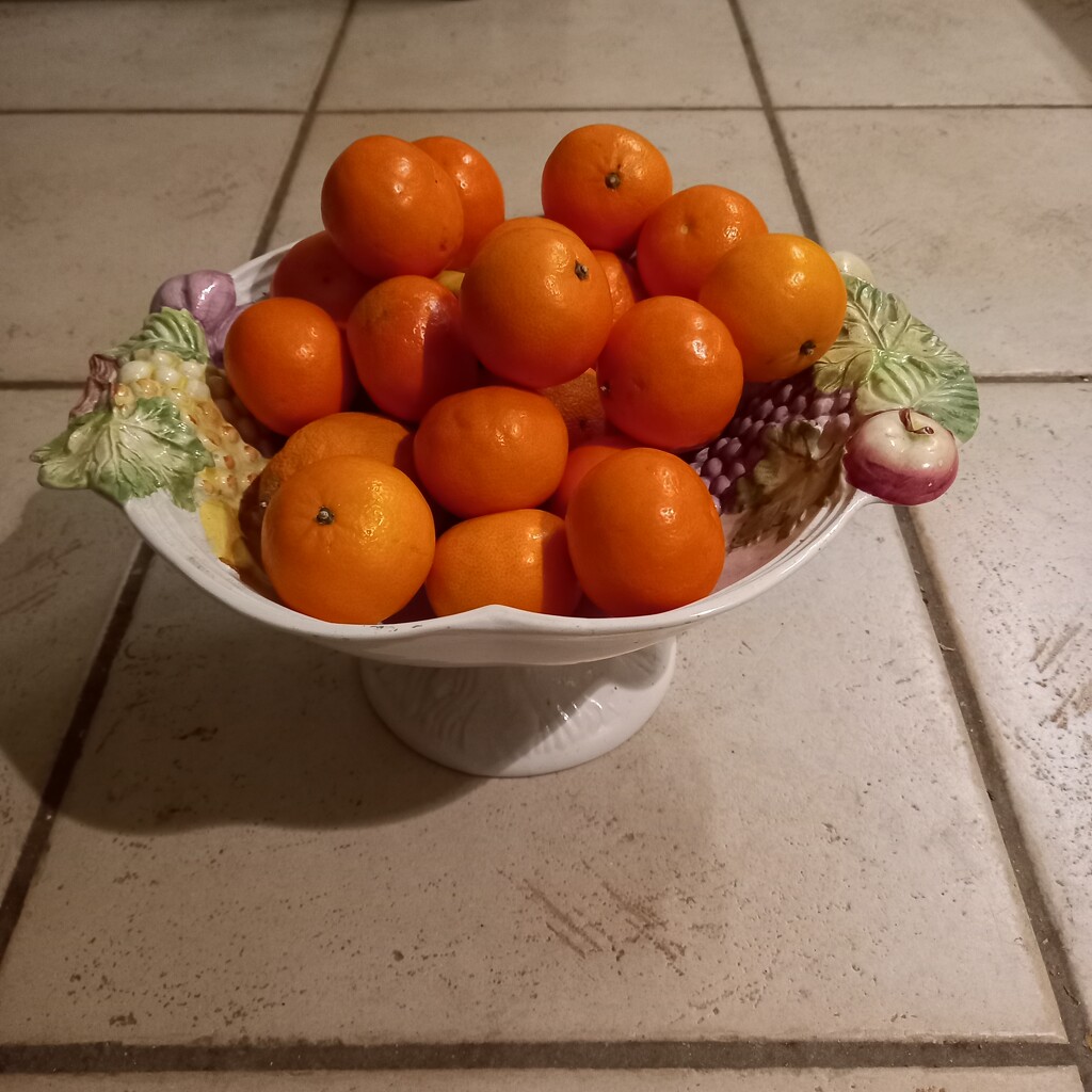 Vase of mandarins by paddington