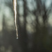 The icicle by haskar