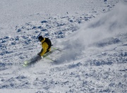 21st Jan 2024 - Skier