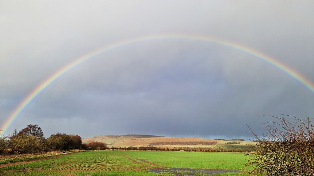 Somewhere, over the rainbow... by bunnymadmeg