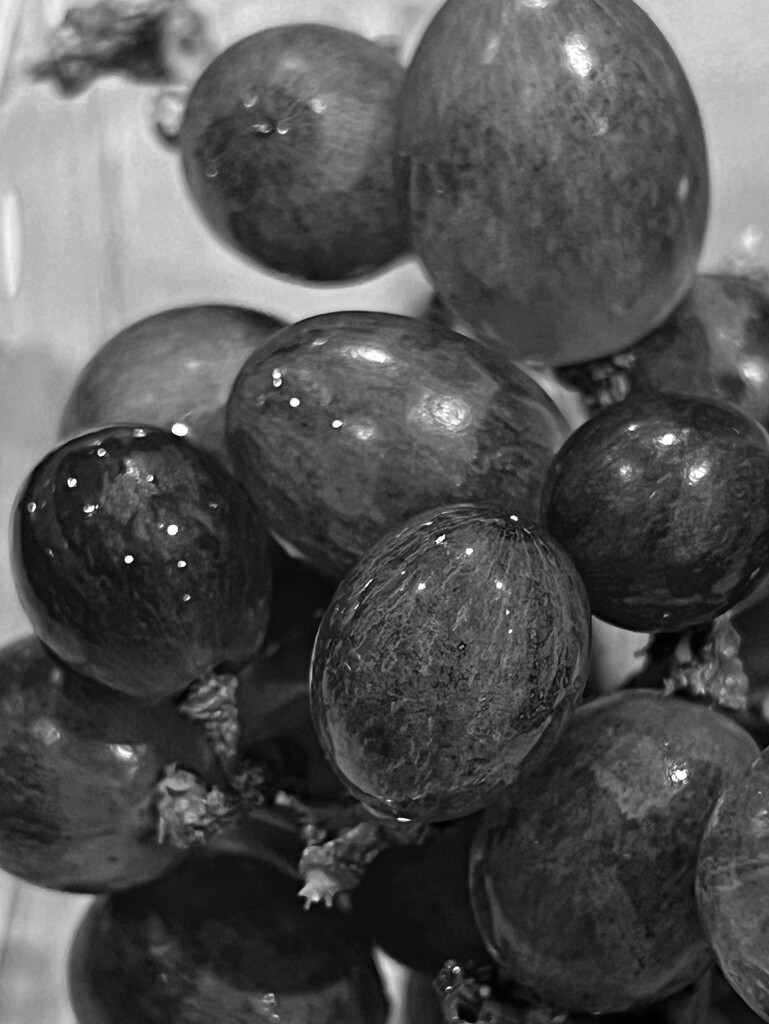 Grapes by gaillambert