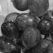 Grapes by gaillambert