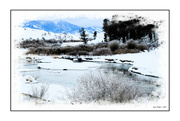 22nd Jan 2024 - Icy Salt River