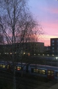23rd Jan 2024 - Red sky in the morning …