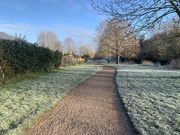 16th Jan 2024 - Frosty morning walk