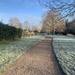 Frosty morning walk by sjc88