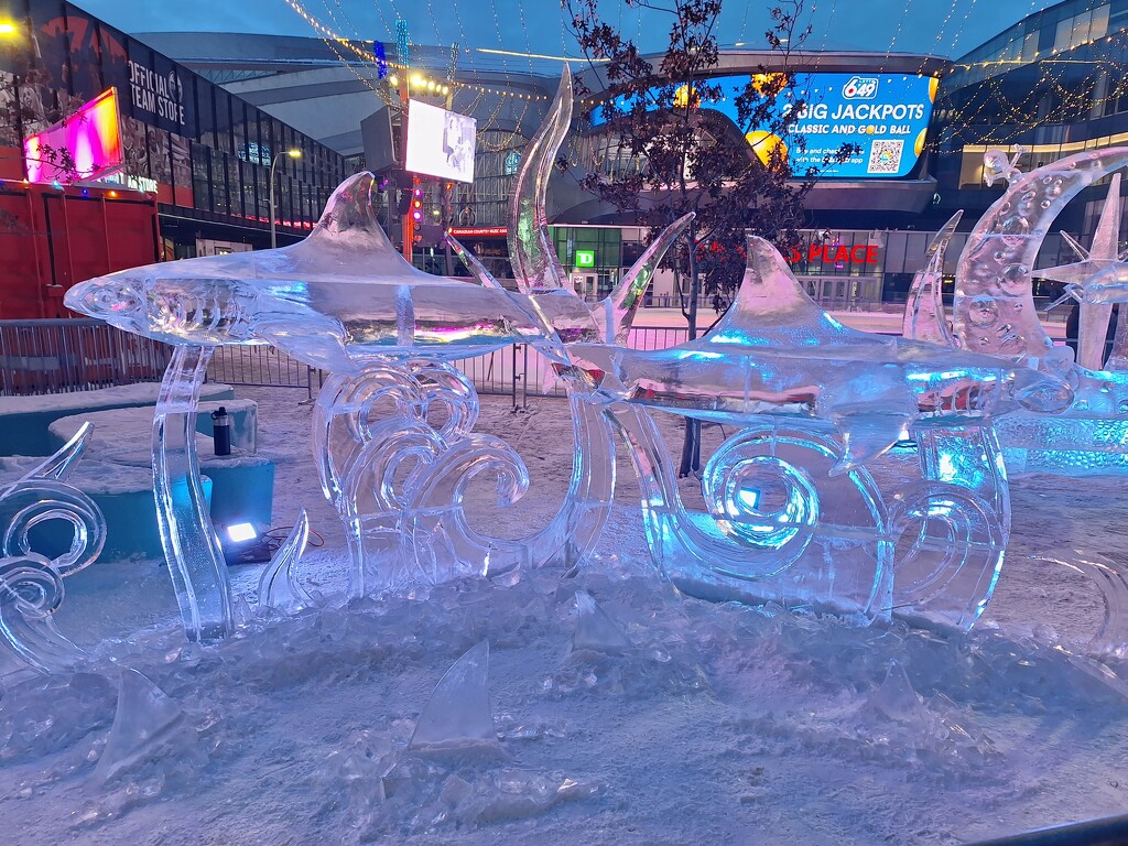 Chiseled Ice Competition 3. Sharks by bkbinthecity