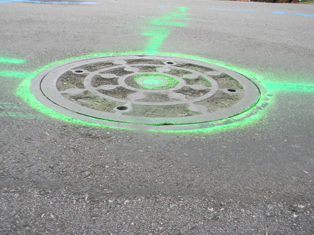 Manhole with Green Markings  by sfeldphotos