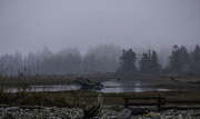 23rd Jan 2024 - Misty Estuary