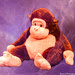 Cheeky monkey  by stuart46