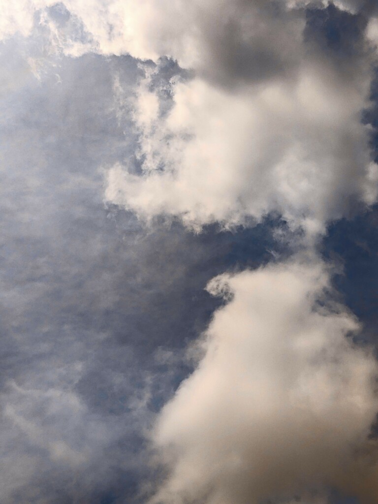 Cloud Watching  by photohoot