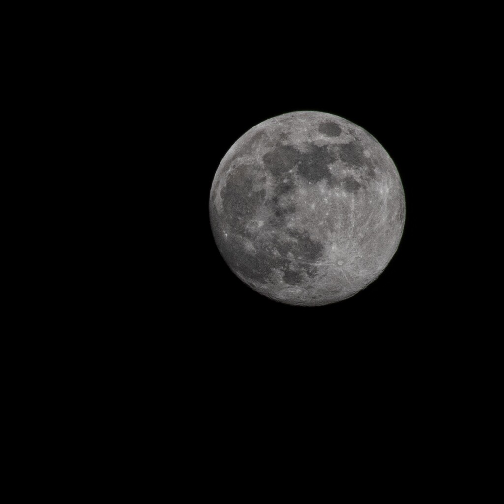 Full moon by anncooke76