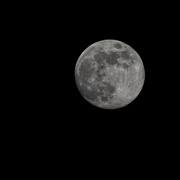 24th Jan 2024 - Full moon