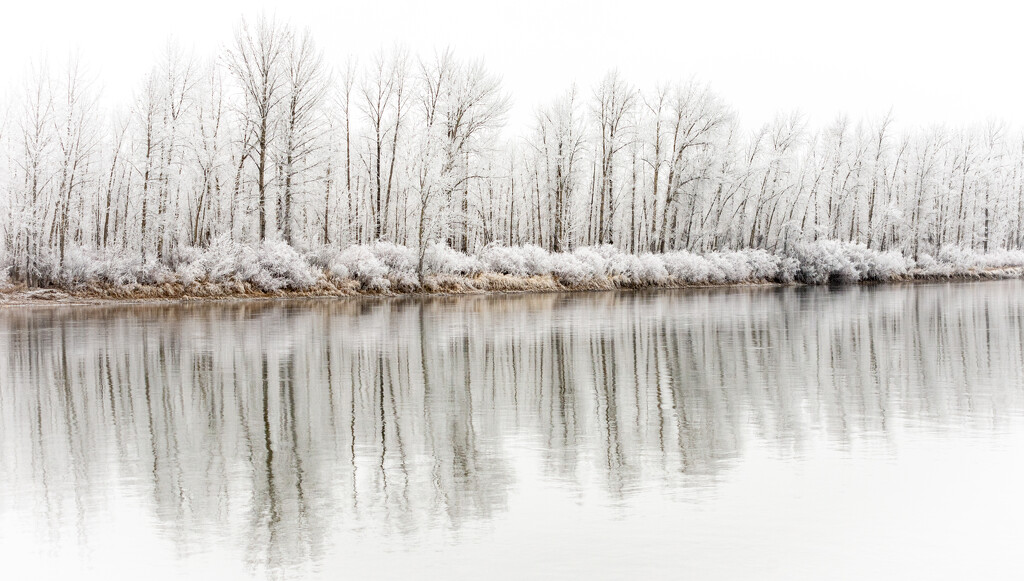 Flathead River Hoarfrost by 365karly1