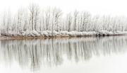 24th Jan 2024 - Flathead River Hoarfrost