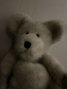 24th Jan 2024 - My favorite teddy