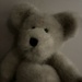 My favorite teddy by pirish