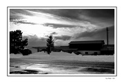 24th Jan 2024 - Sunny Evening in BW