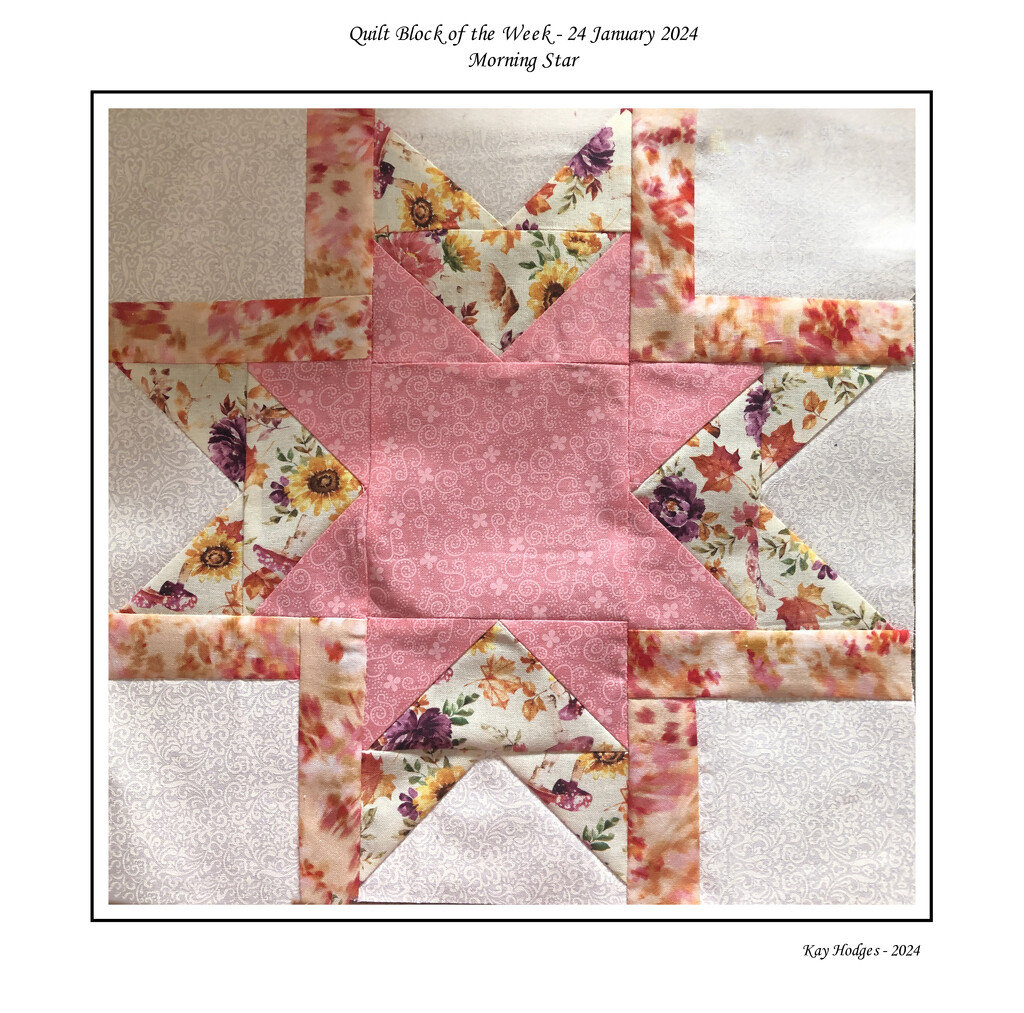 Quilt Block of the Week by kbird61