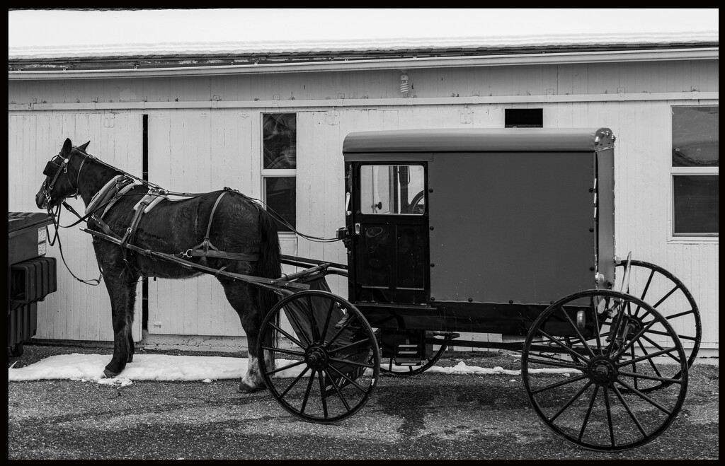 Amish Country by hjbenson