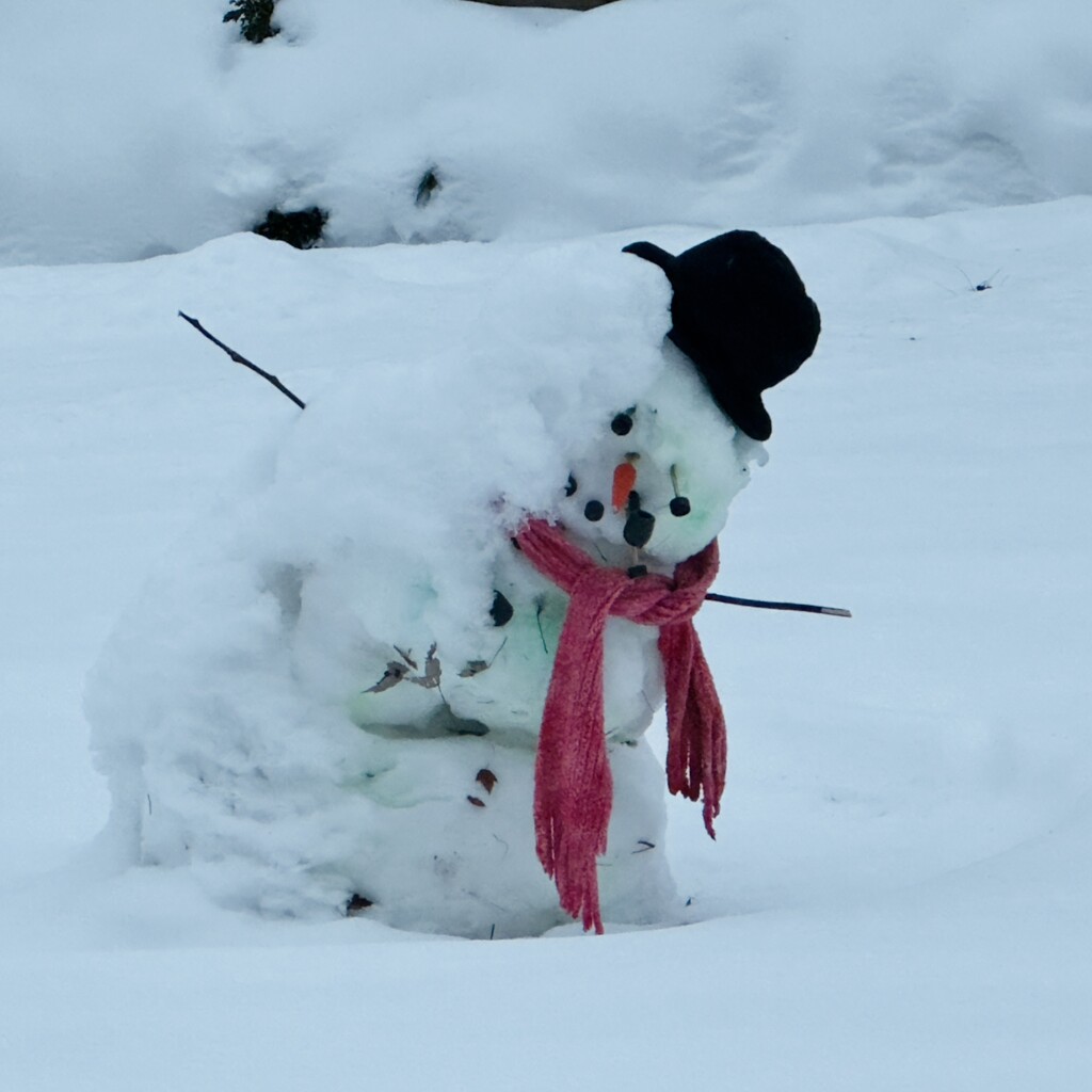 Warmer Days Bring Sad Melting Snowmen by eahopp