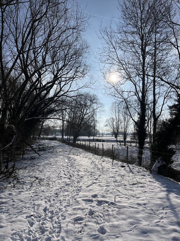 Snowy path by lexy_wat