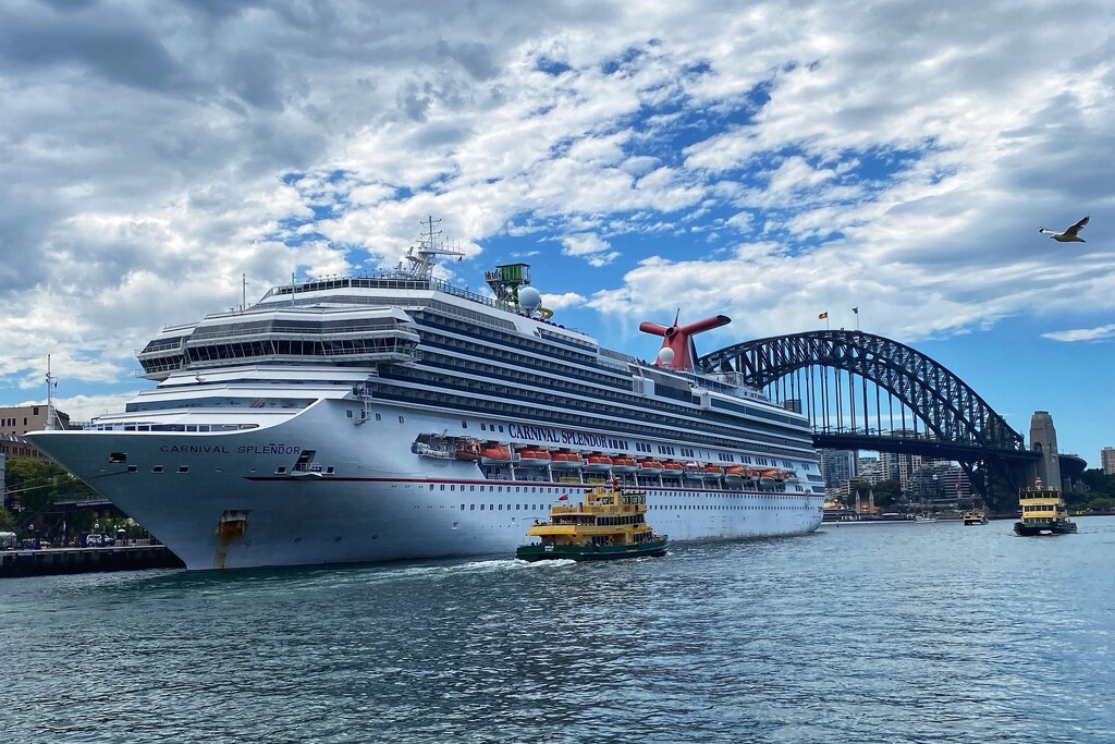 It’s cruise ship season in Sydney. The “Carnival Splendor” is one of the smaller ships!! by johnfalconer