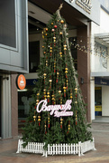 22nd Jan 2024 - The last Christmas Tree in Town