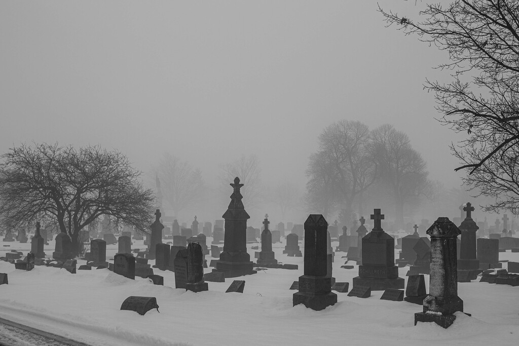 Cemetery fog by darchibald