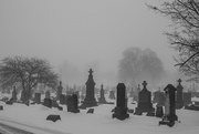 24th Jan 2024 - Cemetery fog