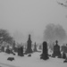 Cemetery fog by darchibald