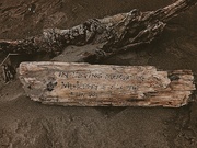 5th Jan 2024 - Driftwood 