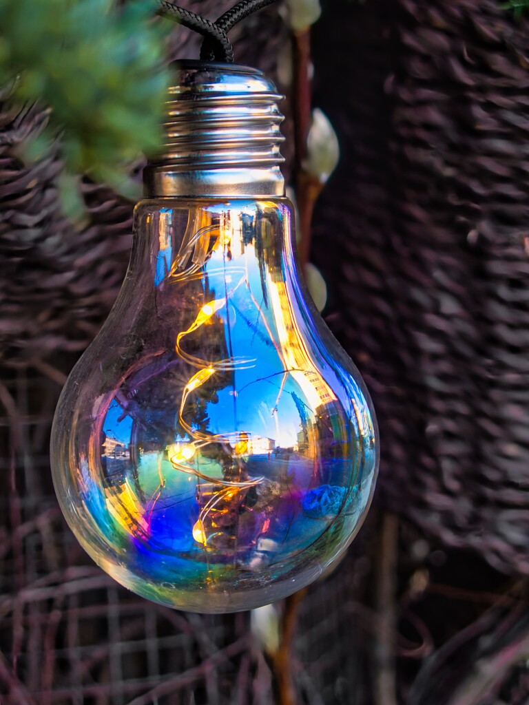 Brightly coloured bulb by okvalle