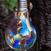 Brightly coloured bulb by okvalle
