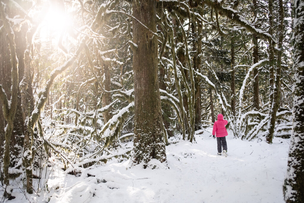 Finding the Snow by tina_mac