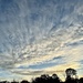 I love this cloud formation by congaree