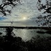 Late afternoon marsh light with Charleston Harbor in the distance by congaree