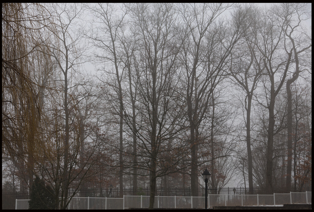 Foggy Day by hjbenson