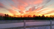 25th Jan 2024 - Sunrise at the barn 