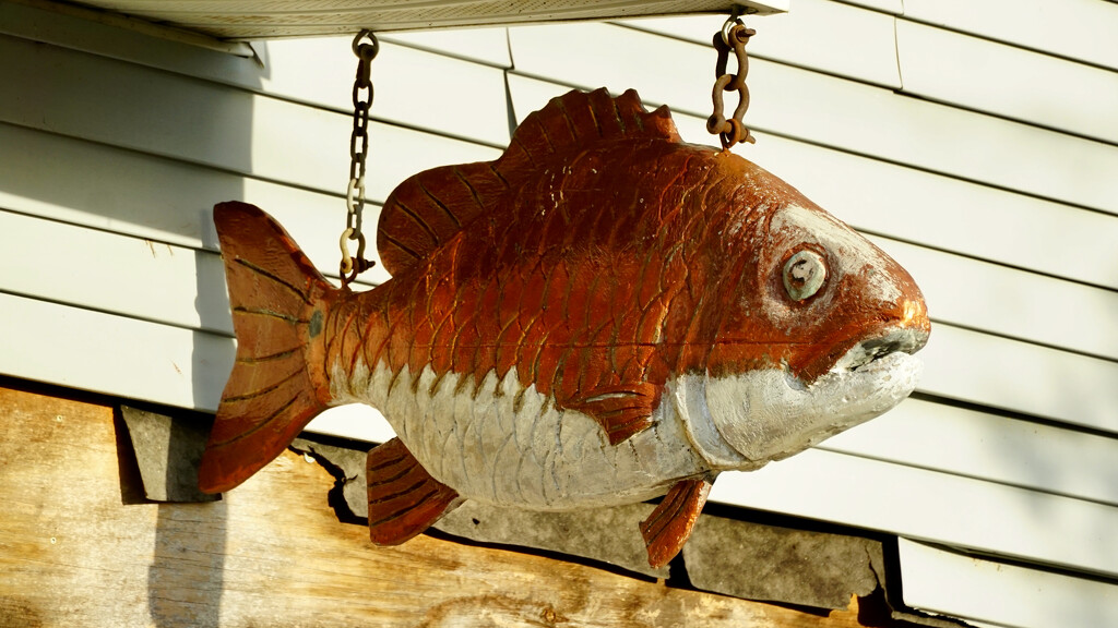 Redfish by eudora