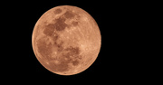 25th Jan 2024 - Tonight's Full Moon!